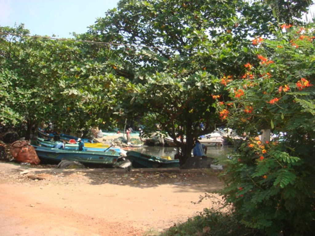 Randi Homestay In Negombo Ngoại thất bức ảnh